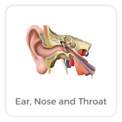 Ear,-Nose-and-Throat