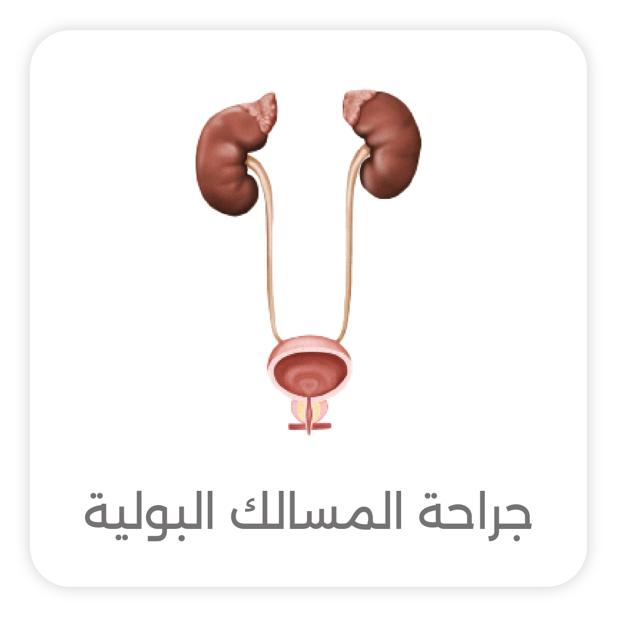 Urology