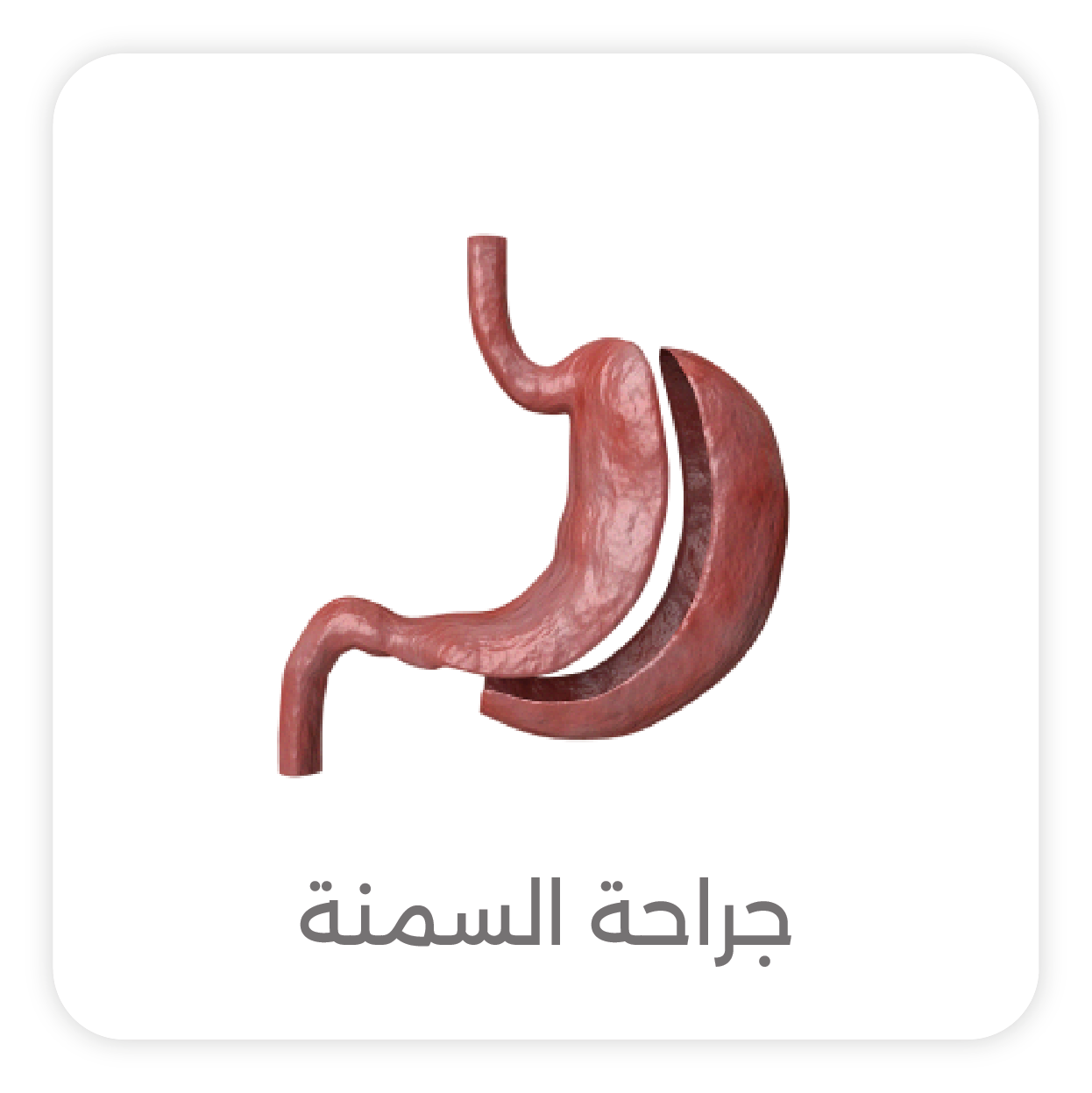 Bariatric Surgeon