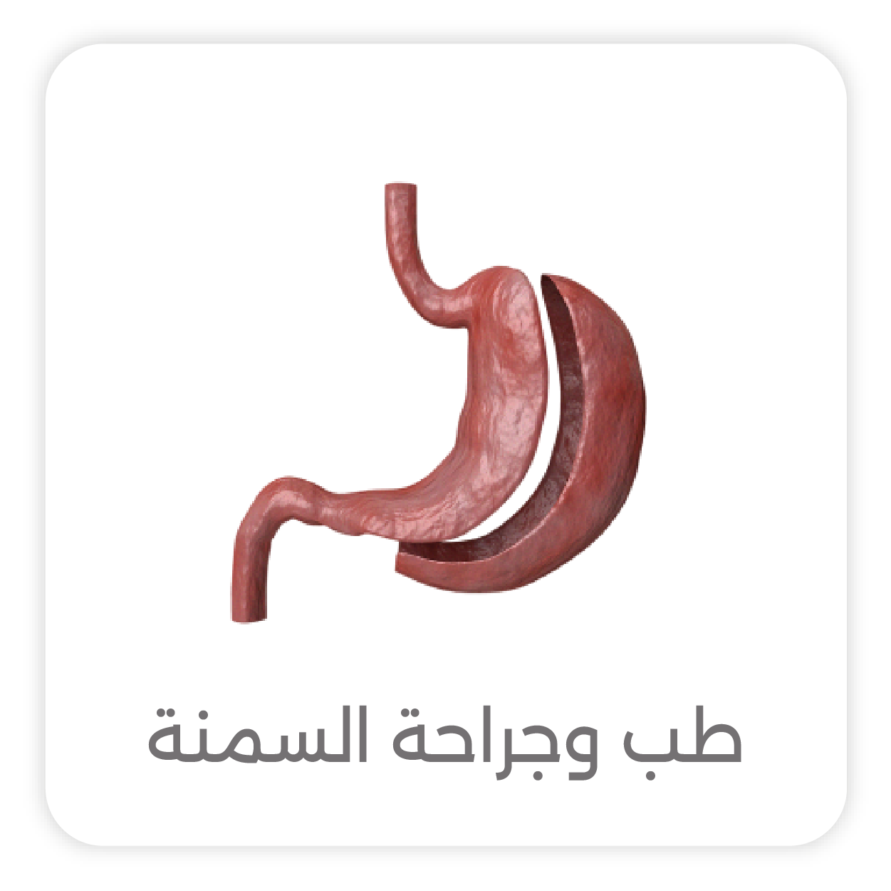 Bariatric Surgeon