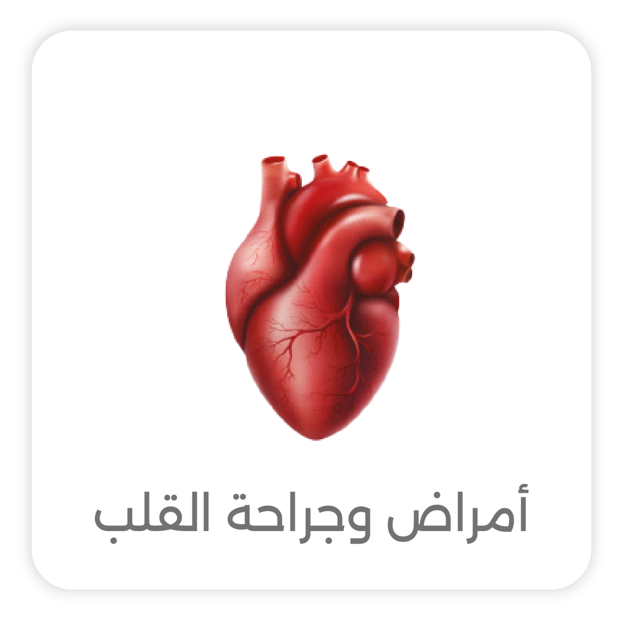 Cardiologist